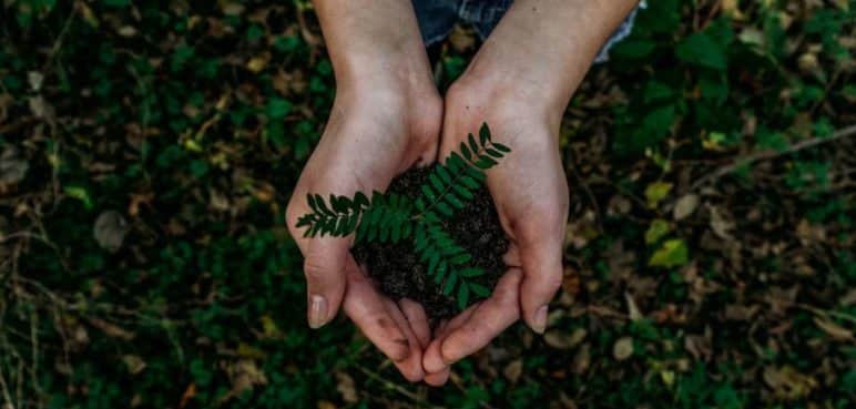 Se celebra el Día de la Tierra: Un día para crear conciencia