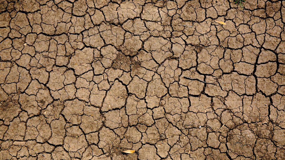 Núcleo de la Tierra estaría frenado y alerta a los científicos del planeta