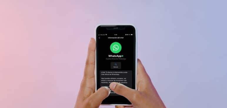 Esta es la nueva función de WhatsApp que la ayudará a organizar los chats