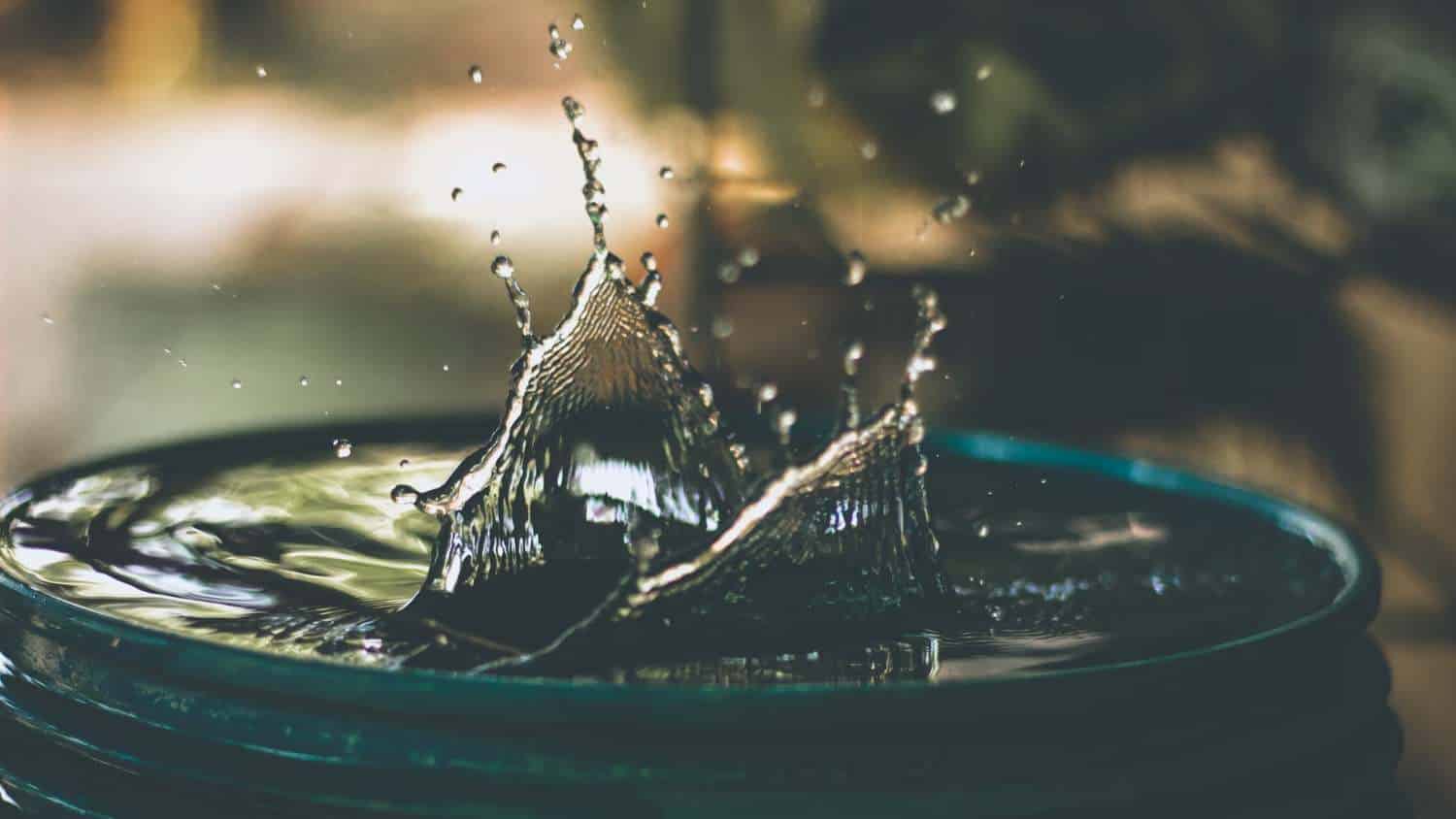 'Tips' sencillos para aprovechar el agua de la lluvia