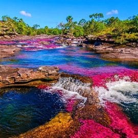 El icónico río Caño Cristales en La Macarena vuelve a recibir visitantes