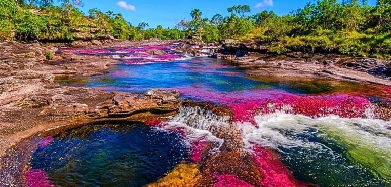 El icónico río Caño Cristales en La Macarena vuelve a recibir visitantes