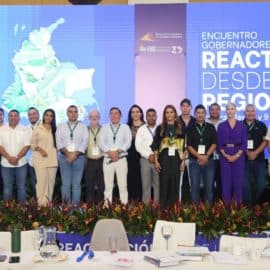 Mandatarios piden al Gobierno Nacional poner fin al cese bilateral al fuego en sus regiones