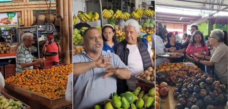 Descubre la 'Megadiversidad' de la Plaza de mercado Alameda