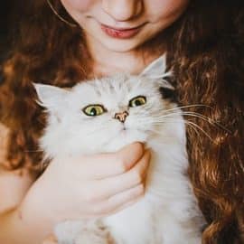 ¿Por qué las personas prefieren tener mascotas en lugar de hijos?