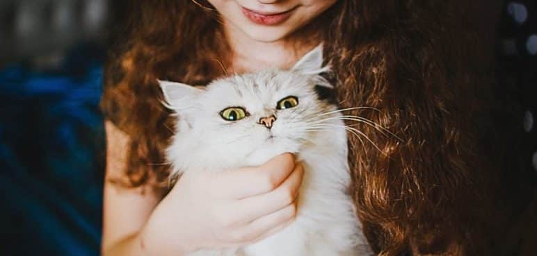 ¿Por qué las personas prefieren tener mascotas en lugar de hijos?