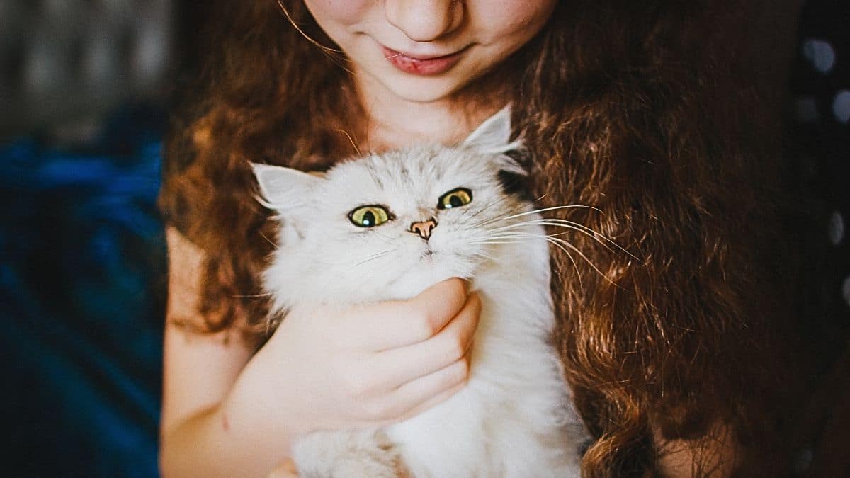 ¿Por qué las personas prefieren tener mascotas en lugar de hijos?
