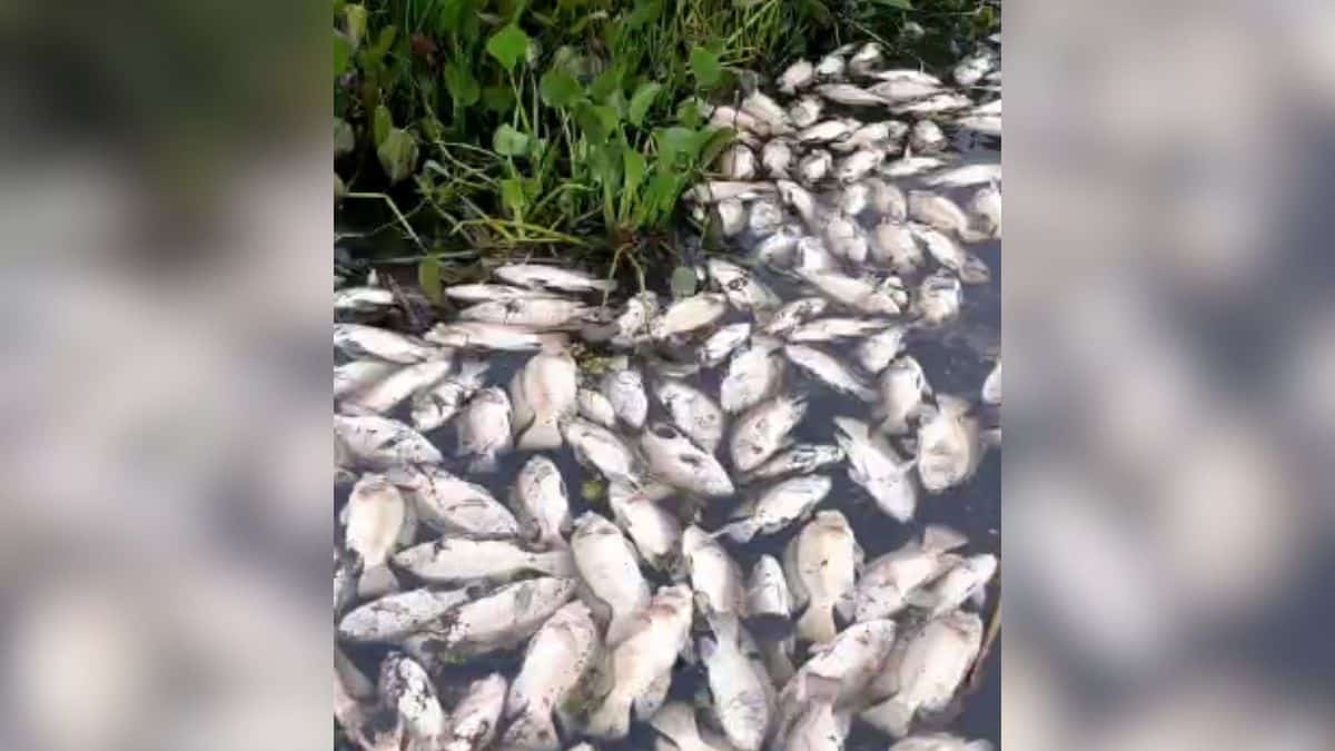 Alerta por emergencias en varios municipios del Valle tras las lluvias