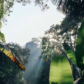 Concejales piden aumentar acciones para disminuir afectaciones medioambientales