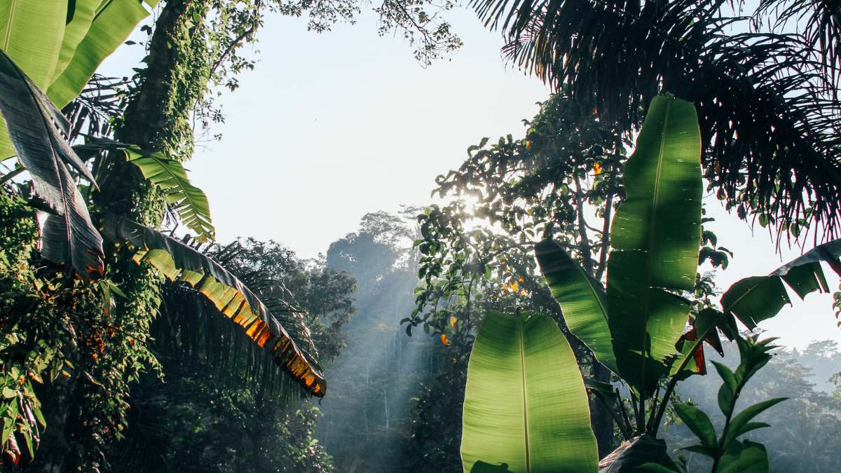 Continúa la cuenta regresiva para la COP16: ¿cómo avanzan los preparativos?