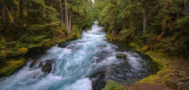Conozca un sitio donde la naturaleza es la protagonista; a menos de una hora de Cali